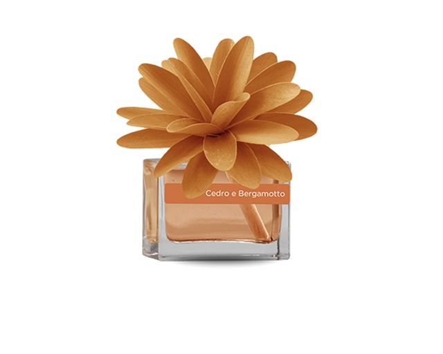 Fragrance diffuser flower cedar and bergamot