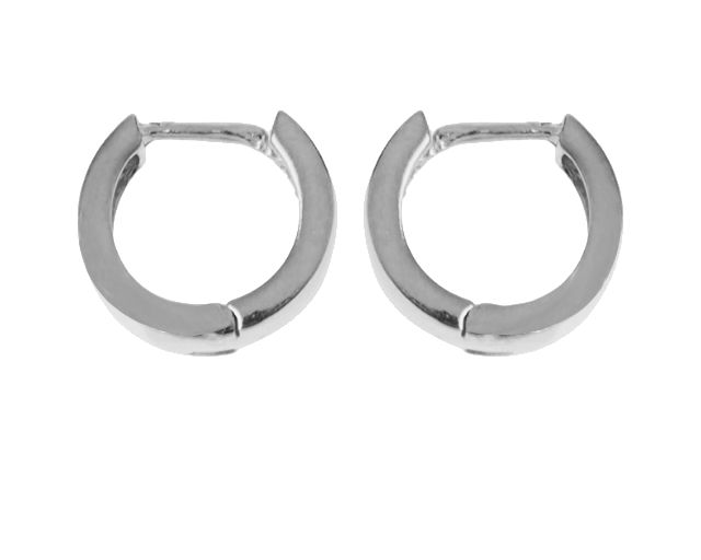 Earrings silver