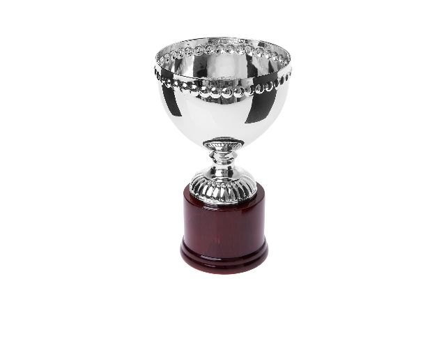 Cup with wooden base
