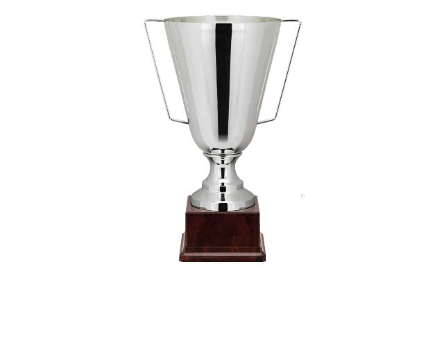 Coppa silver plated con manici
