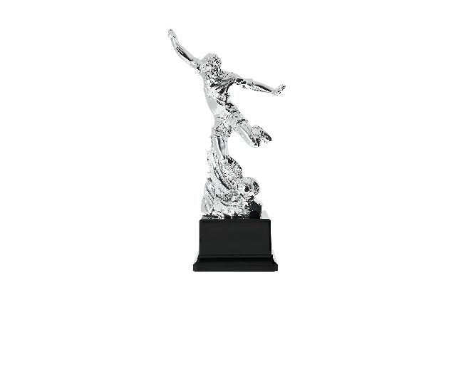 Trofeo calciatore
