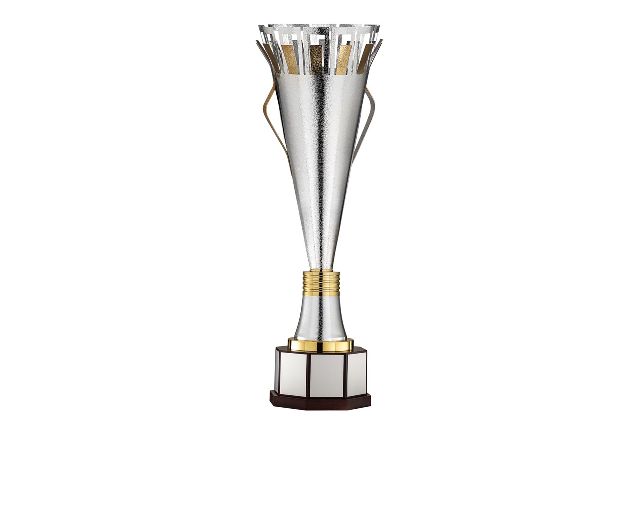 Cup with wooden base