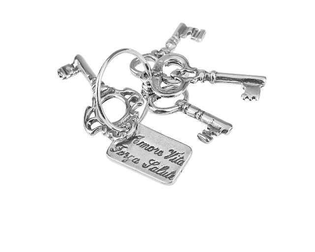 Bunch of keys silver with plate
