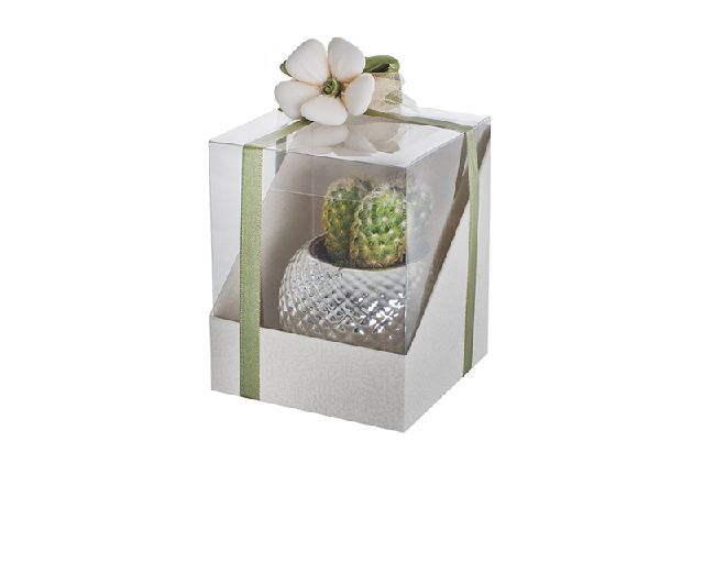 Scatola Per Bomboniera Duo Pelle Bianco 10 X 10 X H12 Selezione Zanolli