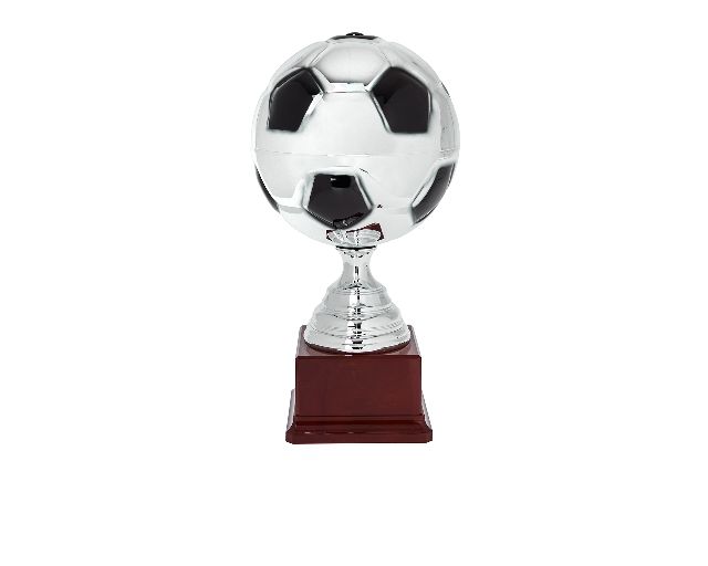Trofeo pallone calcio