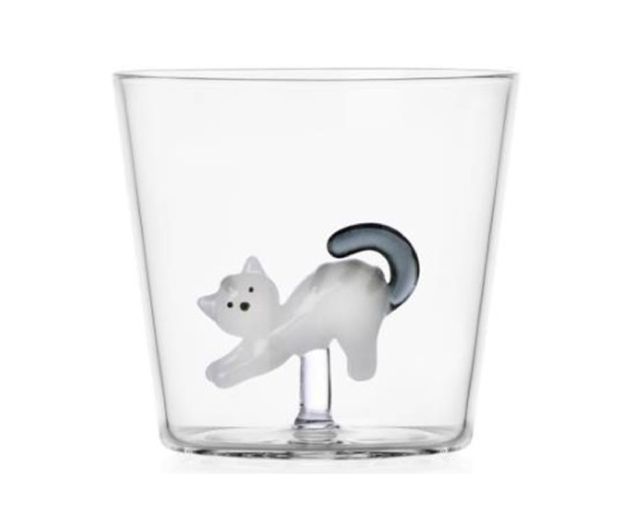 Tumbler glass tabby cat white cat with gray tail