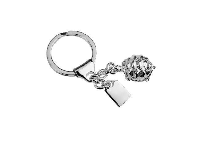 Portachiavi tartaruga argento con piastrina