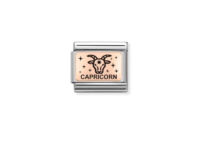 Capricorn composable steel rosegold and black enamel