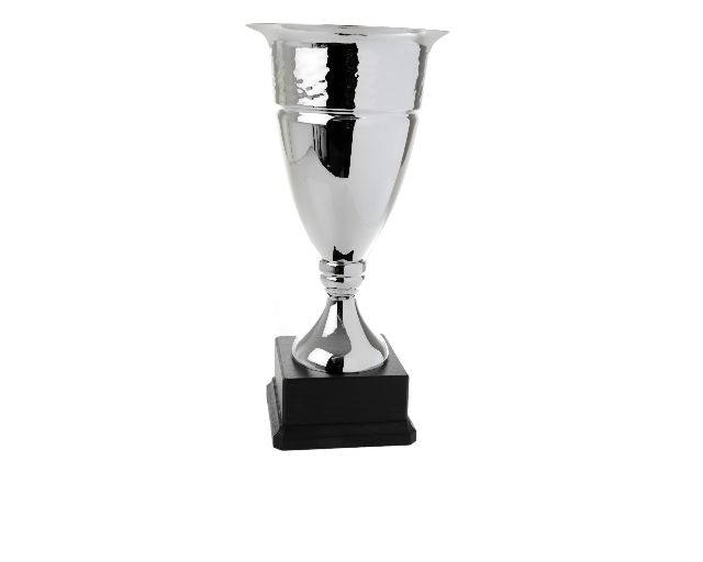 Cup with plastic base