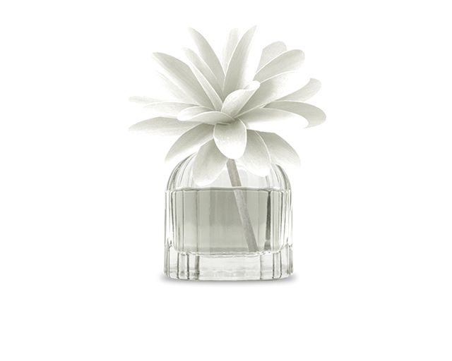Fragrance diffuser flower iris chypre