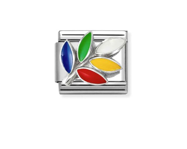 Rainbow olive composable steel silver and enamel