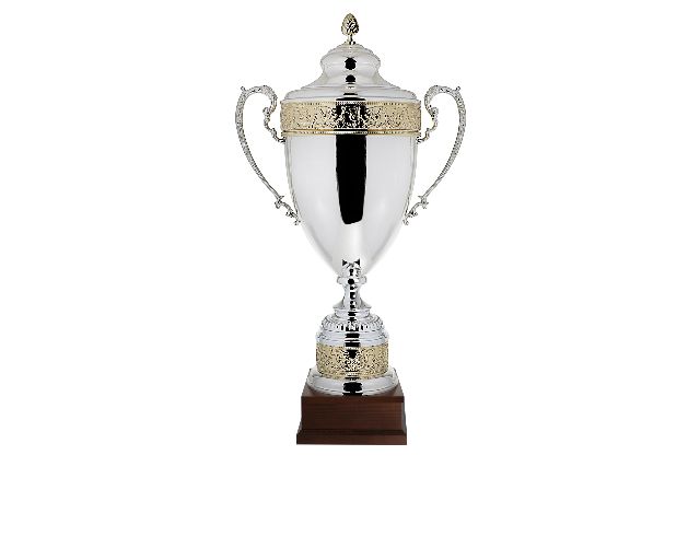 Cup with handles and cover