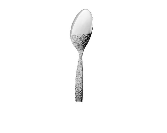 Serving spoon dressed steel