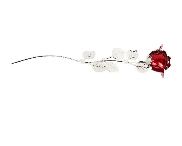 Bomboniera rosa bordeaux silver plated