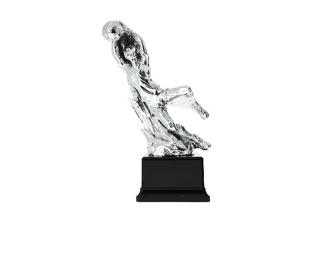 Trofeo calciatore