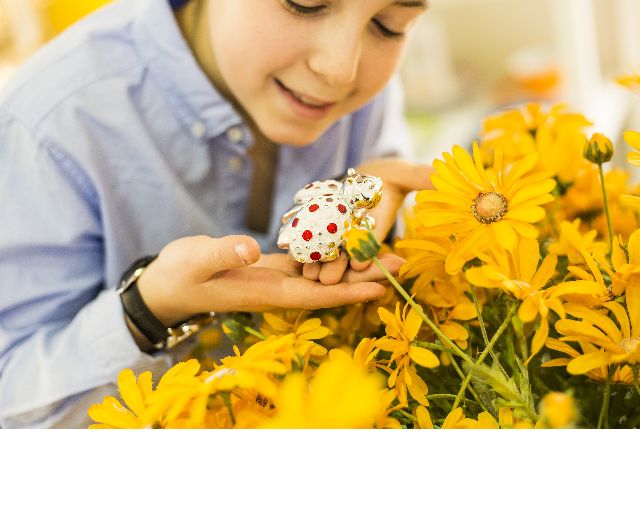 Ladybug With Red Pois And Sugared Almonds Selezione Zanolli 170627 941ma1050mrohx