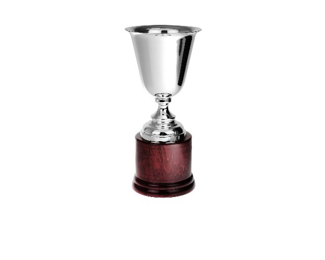Cup silver with wooden base
