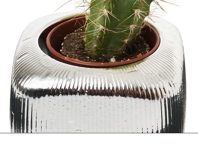 Vase With Plant Square Selezione Zanolli