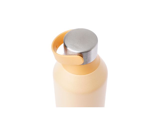 Thermal Bottle Steel Peach Orange Chillys Bottles 168257 944b500s2porg