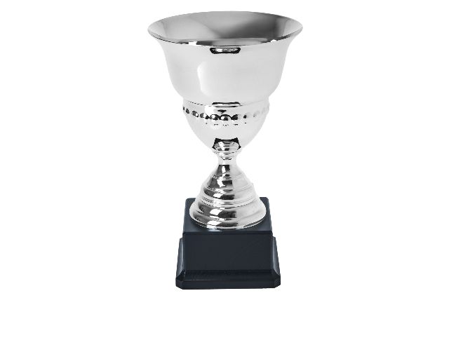 Cup with wooden base