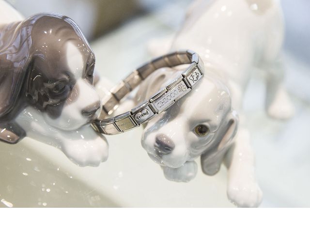 Bracciale Composable Acciaio Cane Best Friend Nomination 161604 754brccane