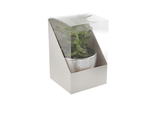 Scatola Per Bomboniera Duo Pelle Bianco 11 X 11 X H165 Selezione Zanolli