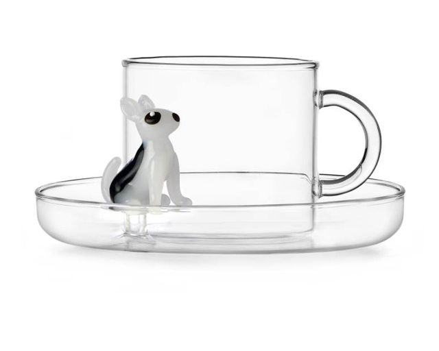 Tea cup with saucer dogs bull terrier