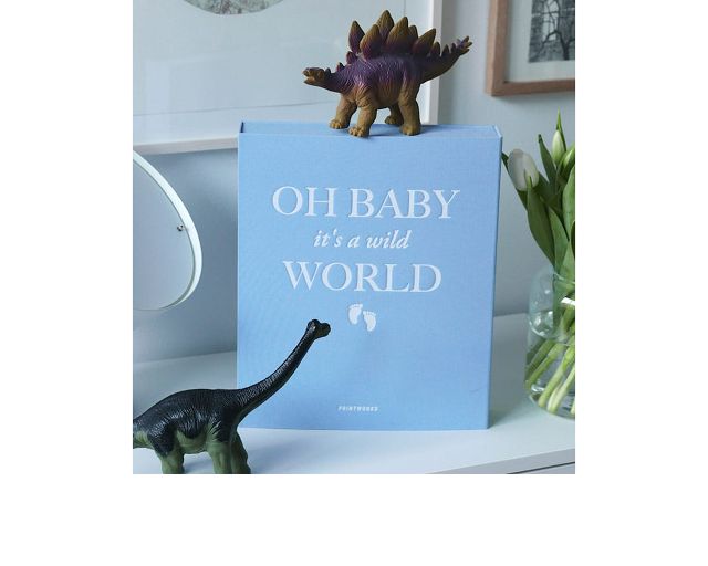 Album fotografico oh baby it's a wild worl blue