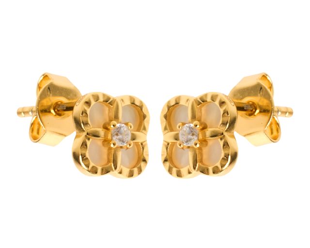 Earrings silver