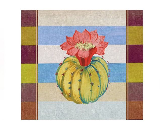 Tovaglietta rigida rettangolare cactus grusonii
