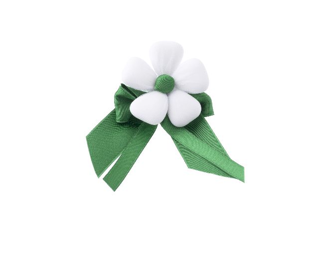 Favor sugared almonds with green satin bow