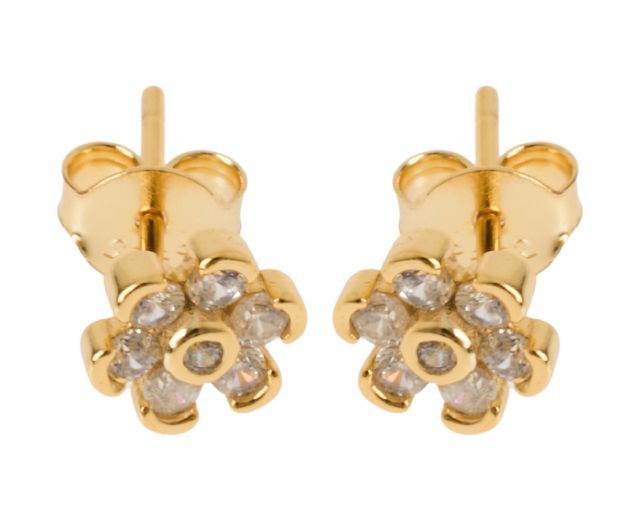 Earrings silver