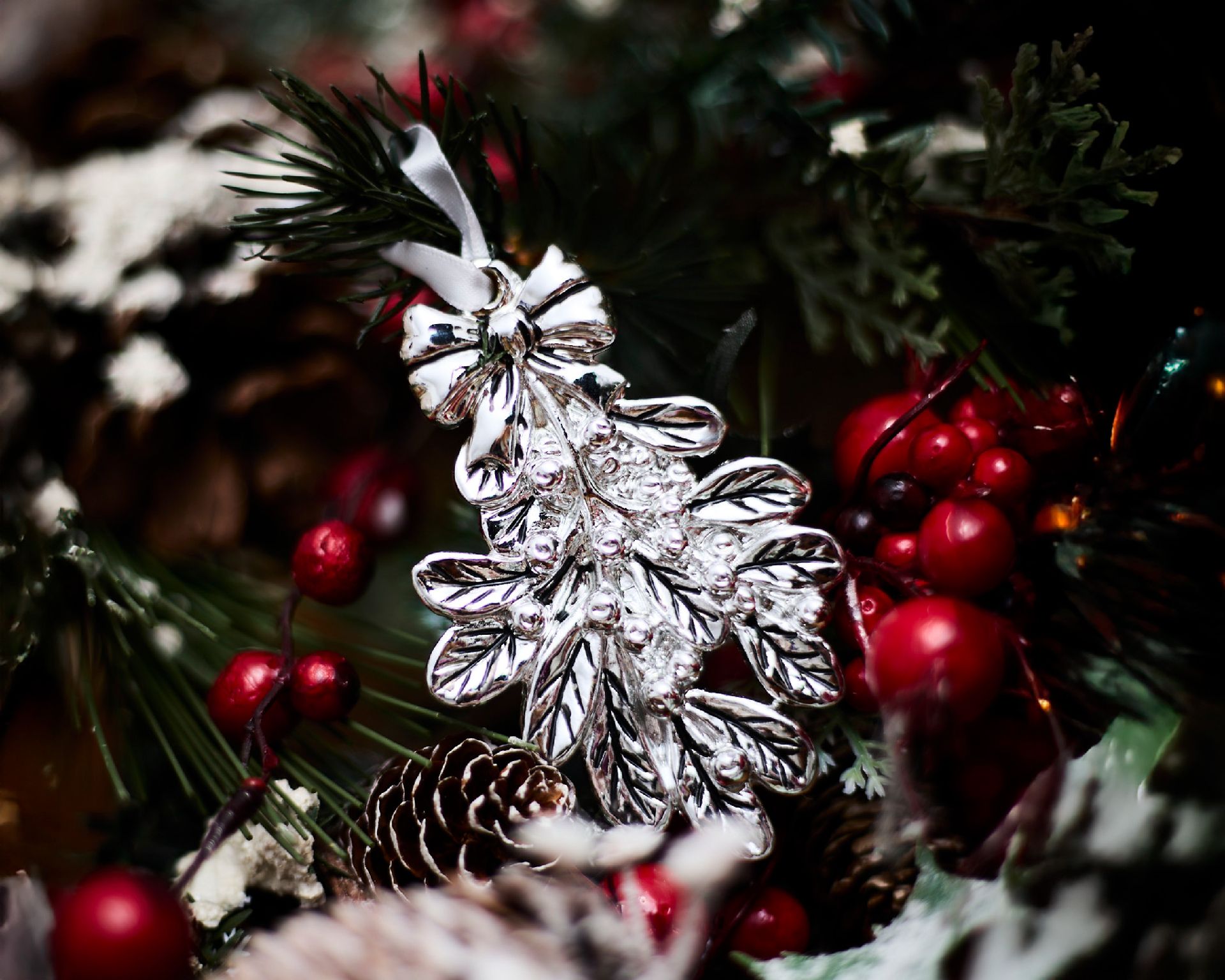 Idea Regalo Natale Vischio Argento Selezione Zanolli 189110 592n866205