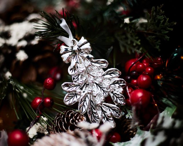 Idea regalo natale vischio argento