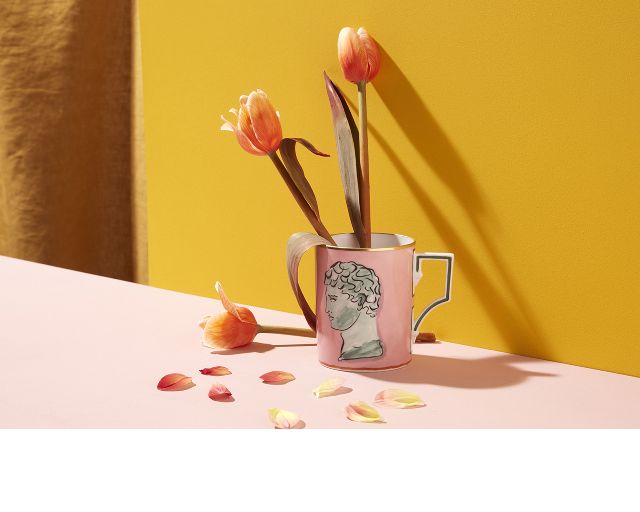 Mug Il Viaggio Di Nettuno Porcelain Pink Richard Ginori 167621 F10100tz7000400b39