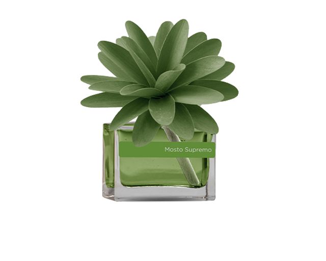 Profumatore d'ambiente flower mosto supremo