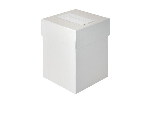 Vasetto Con Piantina Dubai Selezione Zanolli 181827 890me24851ag
