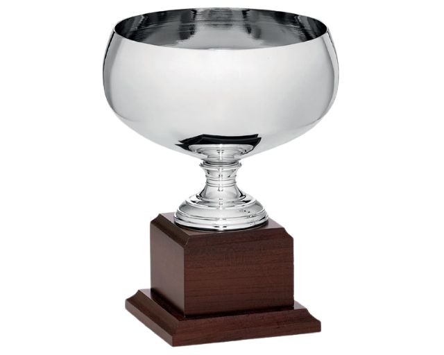 Coppa sportiva con base in legno